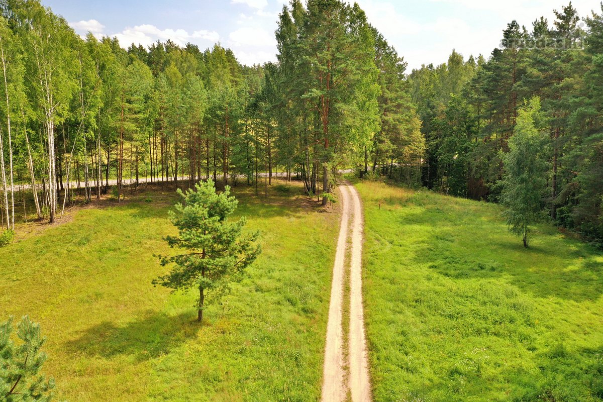Sodybviete 1,60 ha su 200m smeletos ežero - nuotraukos Nr. 3