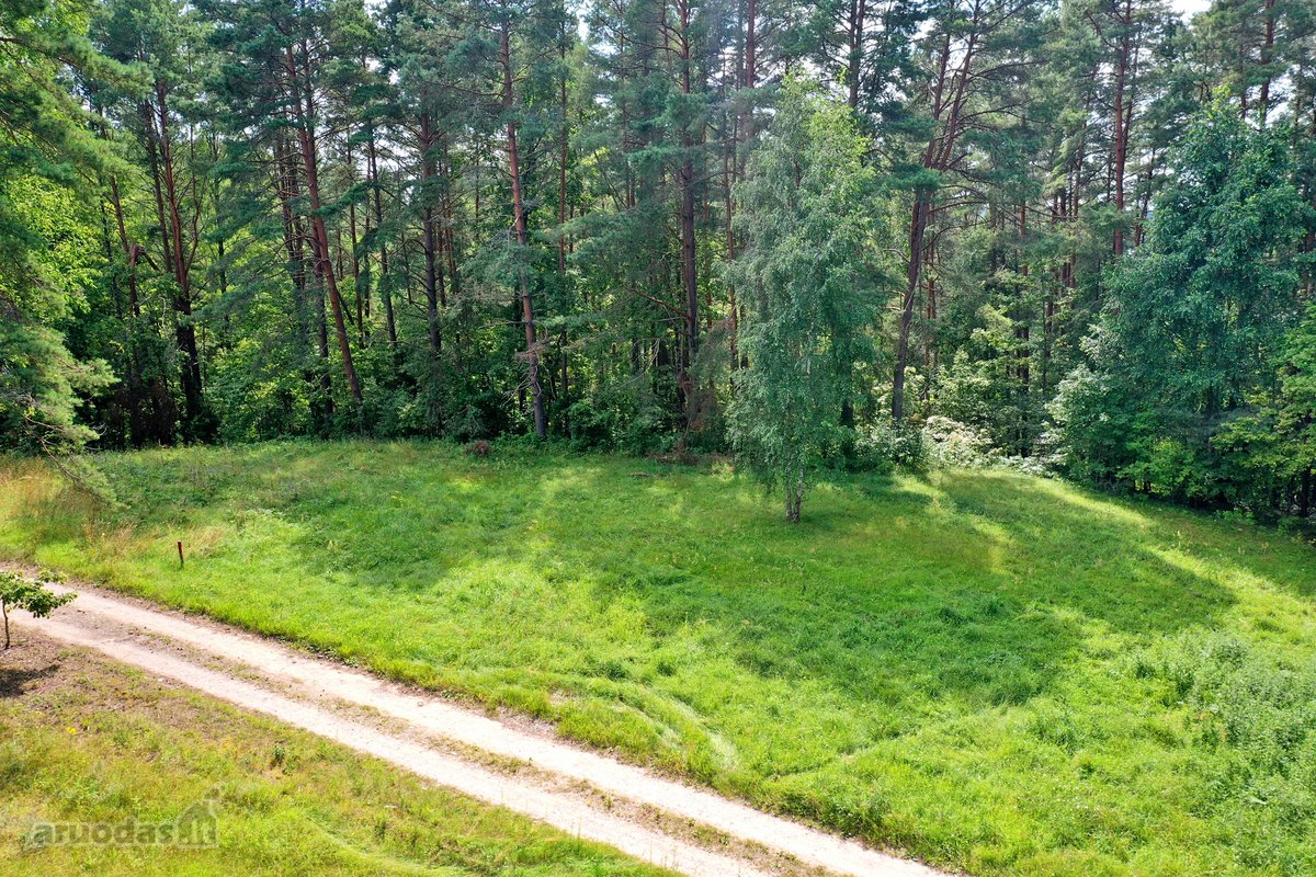 Sodybviete 1,60 ha su 200m smeletos ežero - nuotraukos Nr. 4