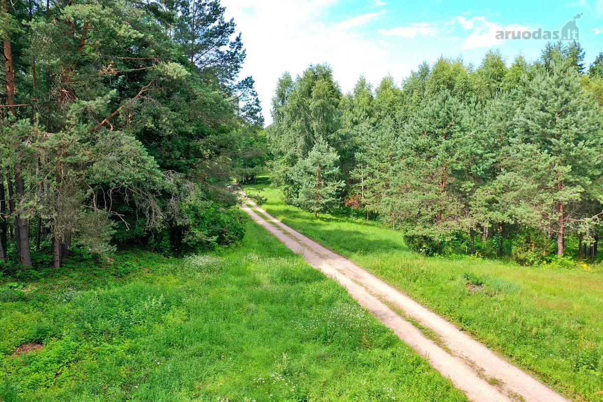 Sodybviete 1,60 ha su 200m smeletos ežero - nuotraukos Nr. 5
