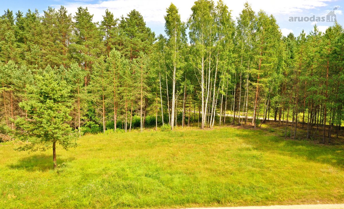 Sodybviete 1,60 ha su 200m smeletos ežero - nuotraukos Nr. 6