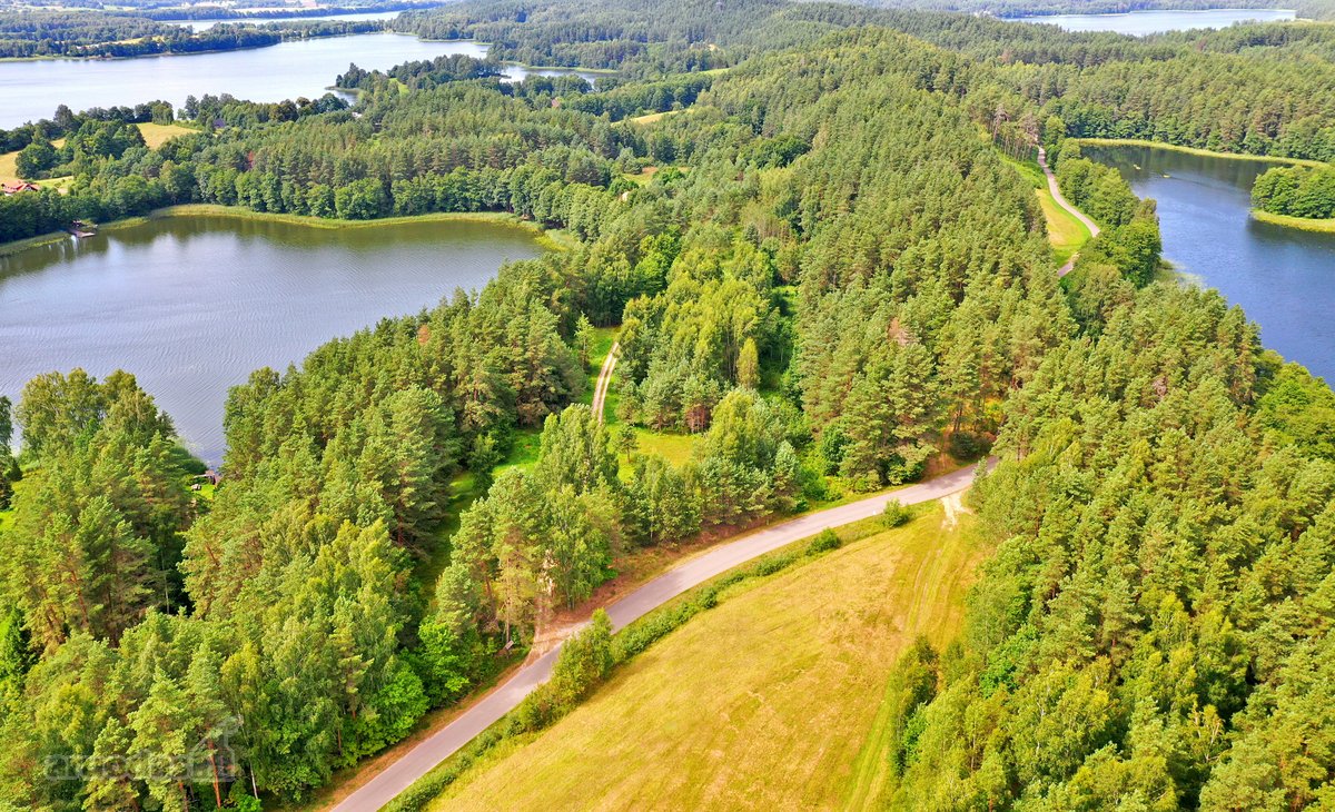 Sodybviete 1,60 ha su 200m smeletos ežero - nuotraukos Nr. 8