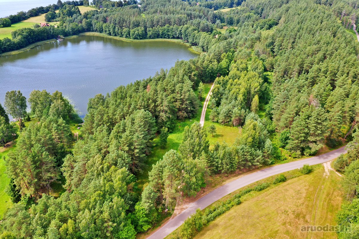 Sodybviete 1,60 ha su 200m smeletos ežero - nuotraukos Nr. 9