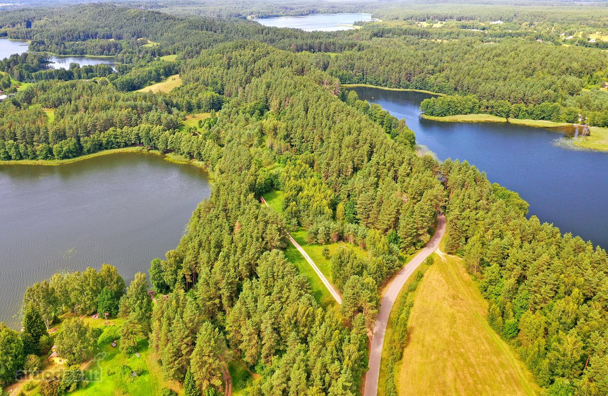 Sodybviete 1,60 ha su 200m smeletos ežero - nuotraukos Nr. 10
