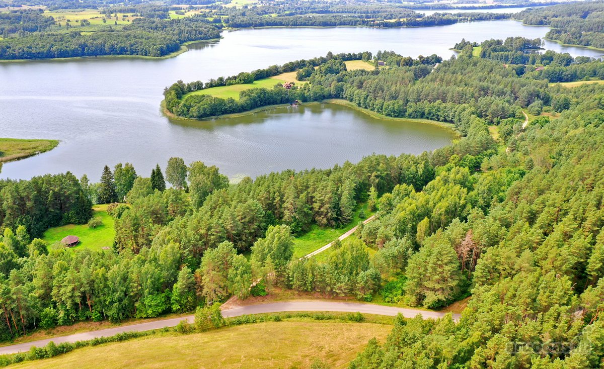 Sodybviete 1,60 ha su 200m smeletos ežero - nuotraukos Nr. 12