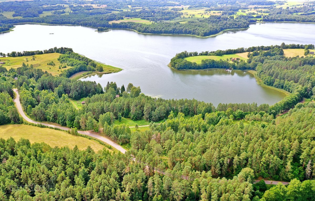 Sodybviete 1,60 ha su 200m smeletos ežero - nuotraukos Nr. 13
