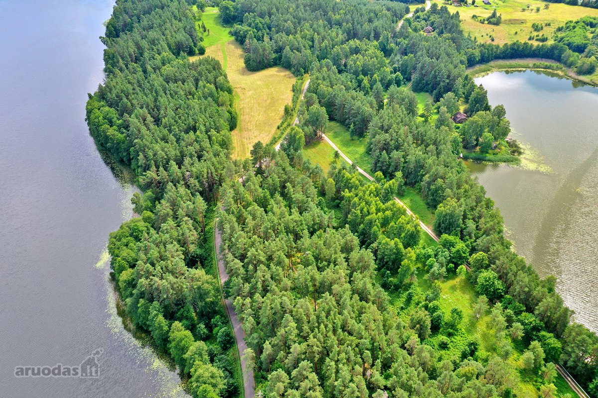Sodybviete 1,60 ha su 200m smeletos ežero - nuotraukos Nr. 14