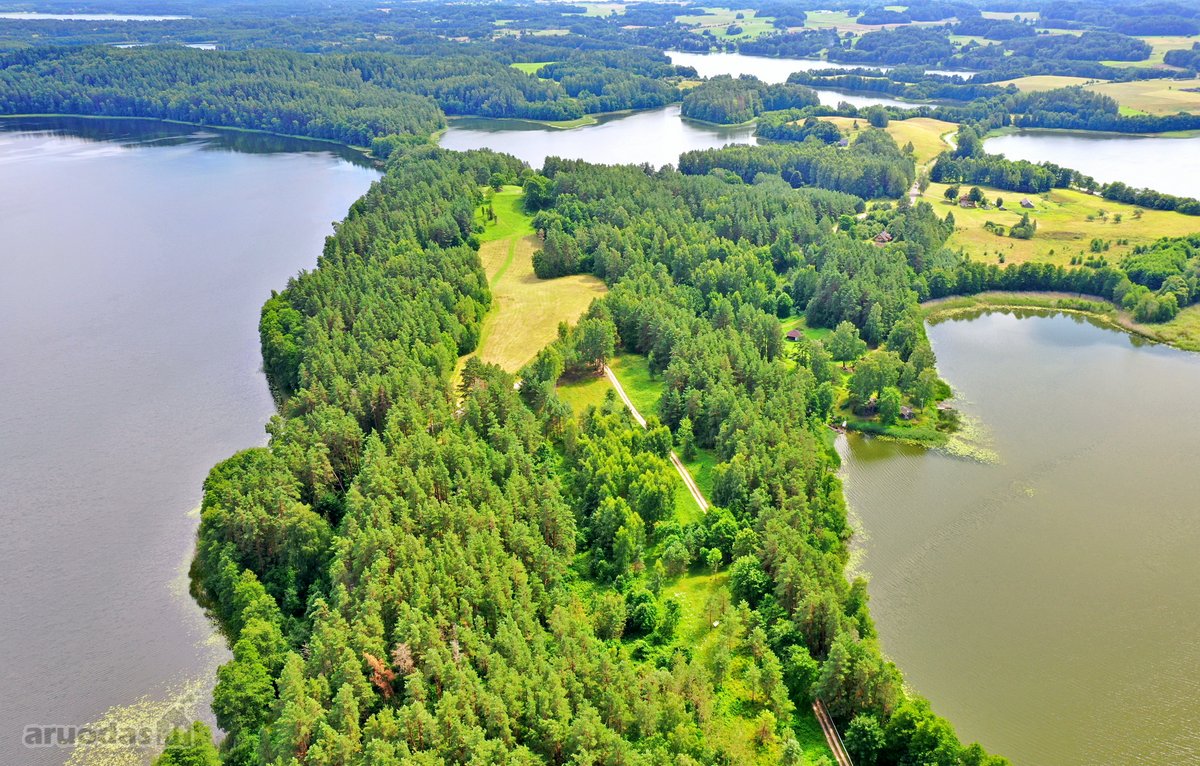 Sodybviete 1,60 ha su 200m smeletos ežero - nuotraukos Nr. 15