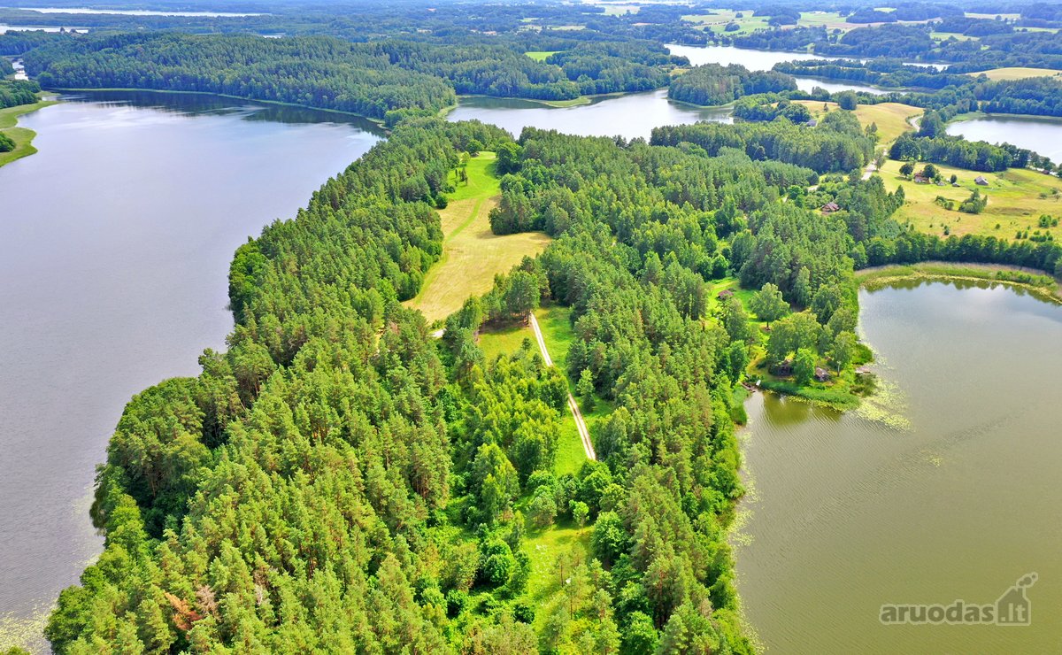 Sodybviete 1,60 ha su 200m smeletos ežero - nuotraukos Nr. 16