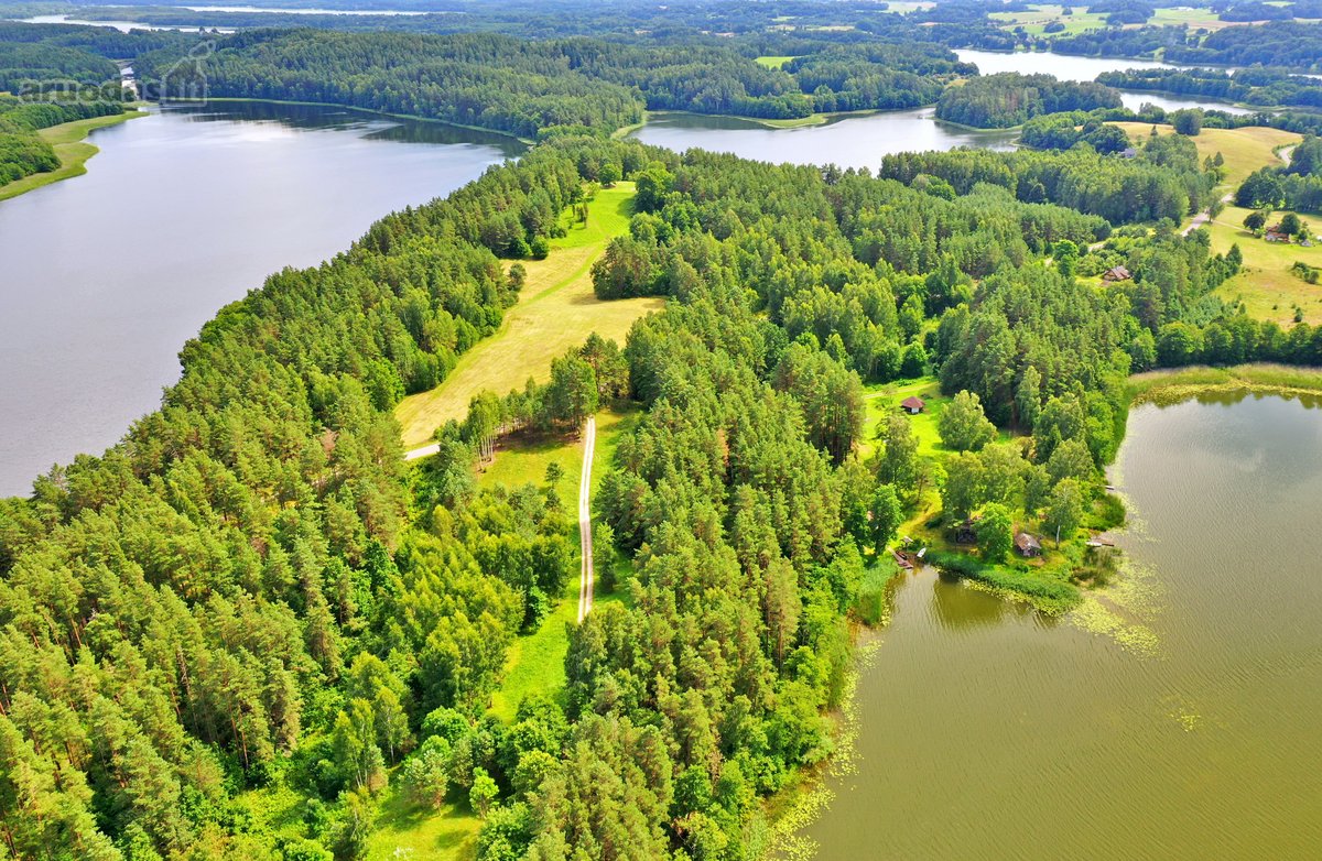 Sodybviete 1,60 ha su 200m smeletos ežero - nuotraukos Nr. 17