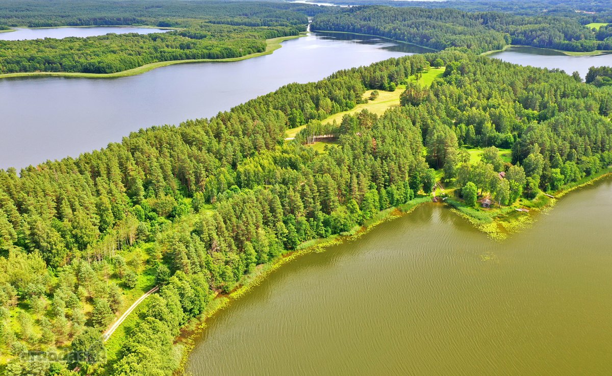 Sodybviete 1,60 ha su 200m smeletos ežero - nuotraukos Nr. 18