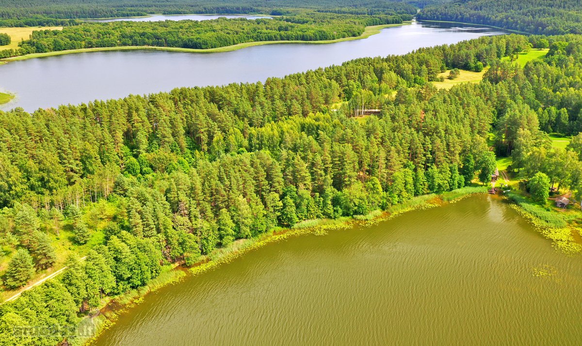 Sodybviete 1,60 ha su 200m smeletos ežero - nuotraukos Nr. 7