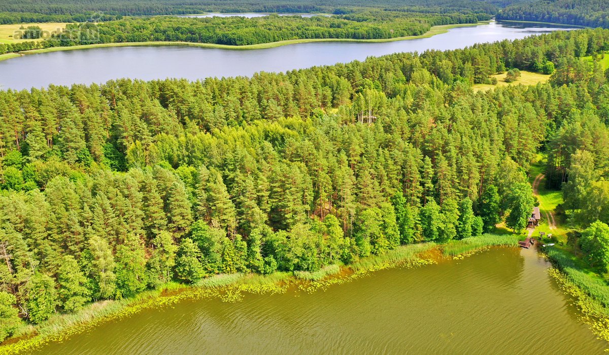 Sodybviete 1,60 ha su 200m smeletos ežero - nuotraukos Nr. 19