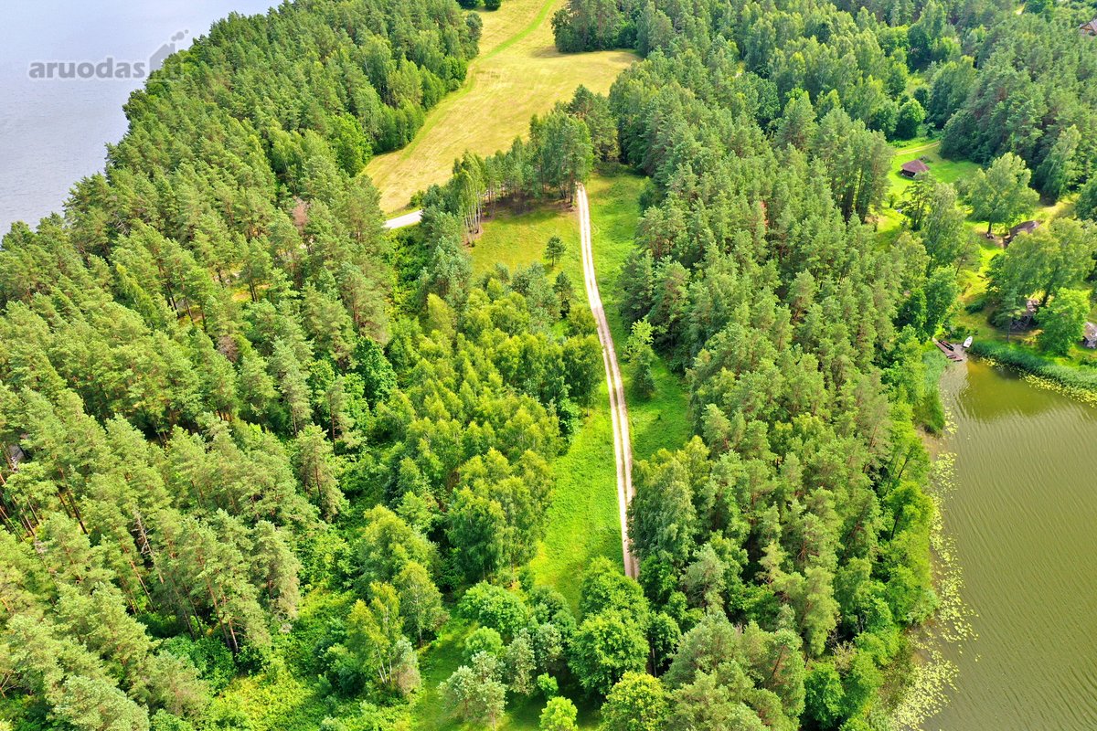 Sodybviete 1,60 ha su 200m smeletos ežero - nuotraukos Nr. 20