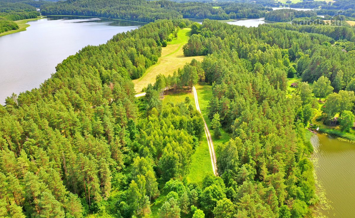 Sodybviete 1,60 ha su 200m smeletos ežero - nuotraukos Nr. 21