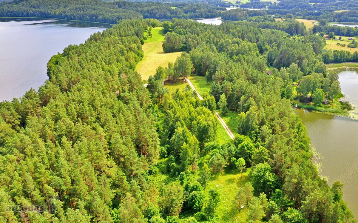 Sodybviete 1,60 ha su 200m smeletos ežero - nuotraukos Nr. 22