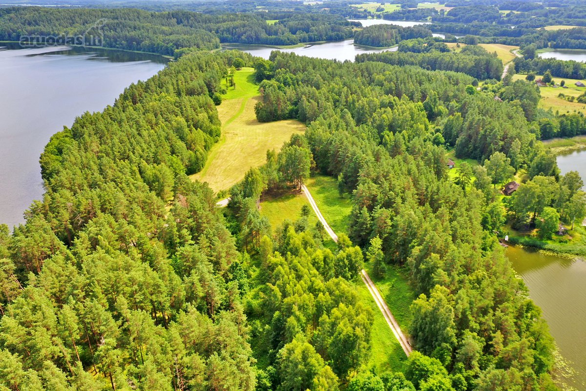 Sodybviete 1,60 ha su 200m smeletos ežero - nuotraukos Nr. 23