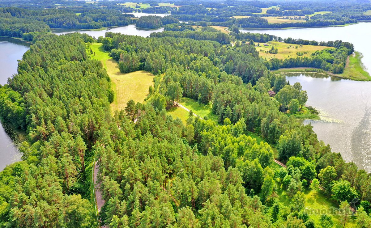 Sodybviete 1,60 ha su 200m smeletos ežero - nuotraukos Nr. 24