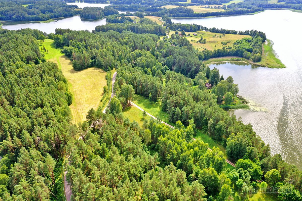 Sodybviete 1,60 ha su 200m smeletos ežero - nuotraukos Nr. 25