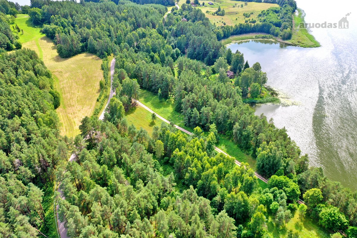 Sodybviete 1,60 ha su 200m smeletos ežero - nuotraukos Nr. 26