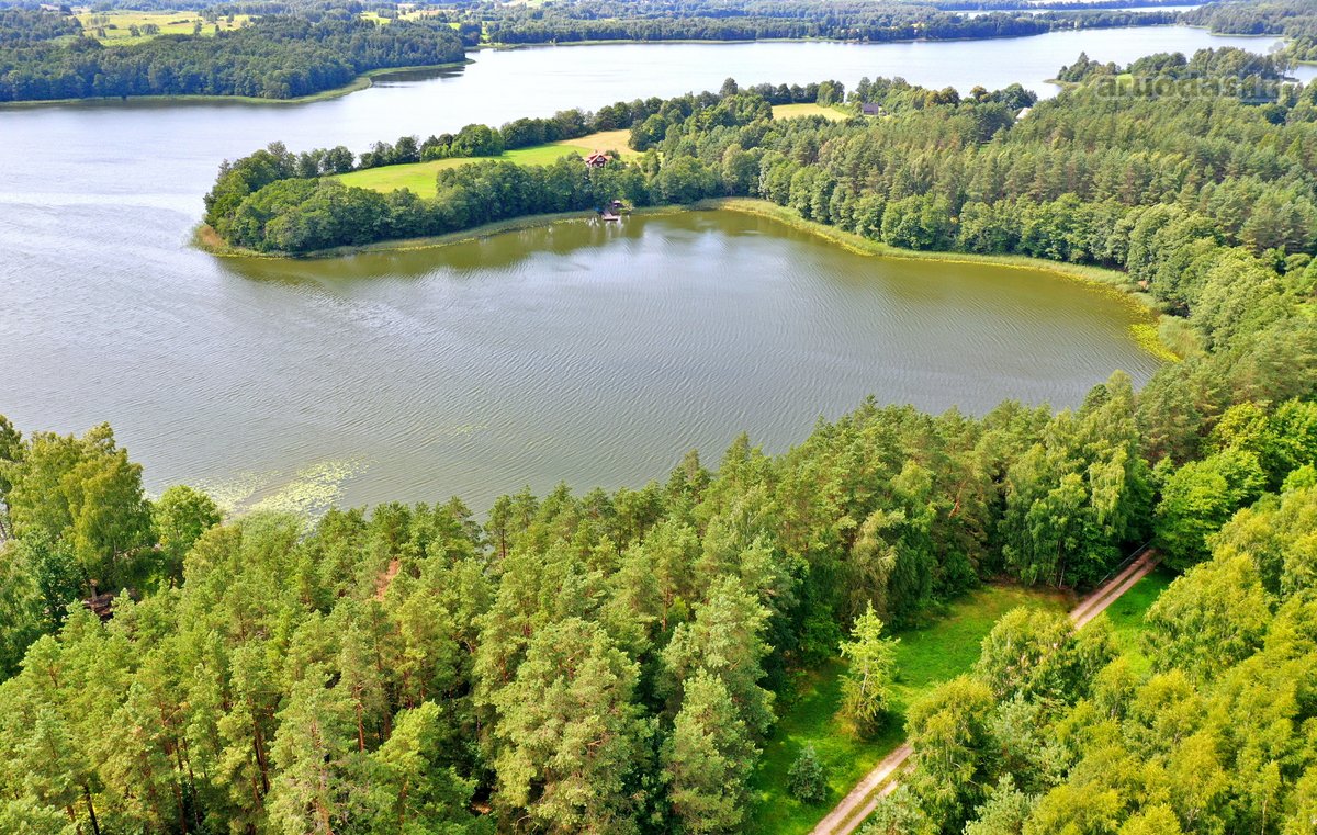 Sodybviete 1,60 ha su 200m smeletos ežero - nuotraukos Nr. 30