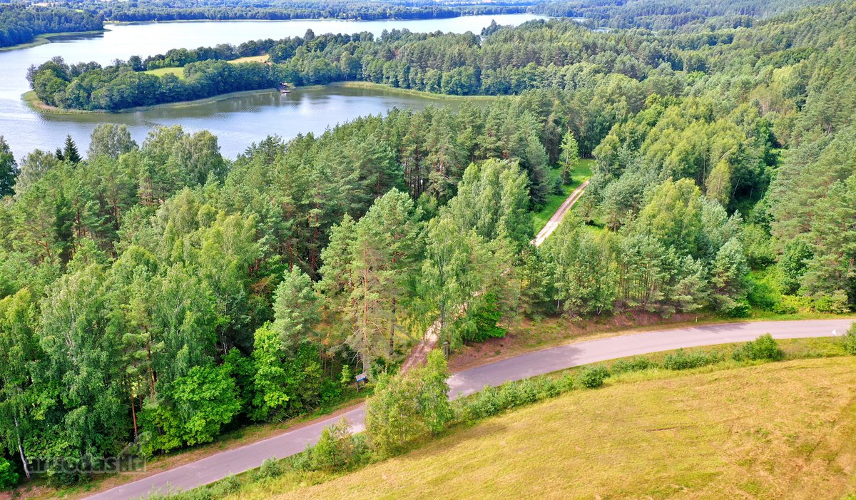Sodybviete 1,60 ha su 200m smeletos ežero - nuotraukos Nr. 32