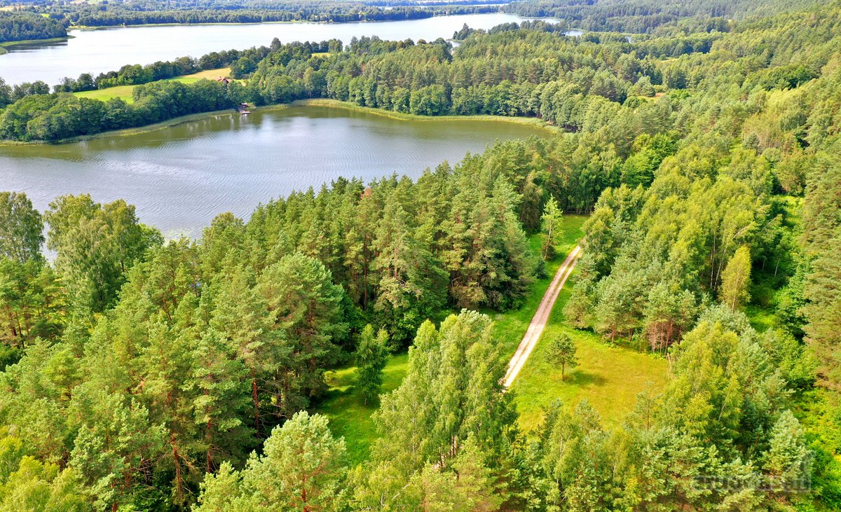 Sodybviete 1,60 ha su 200m smeletos ežero - nuotraukos Nr. 33