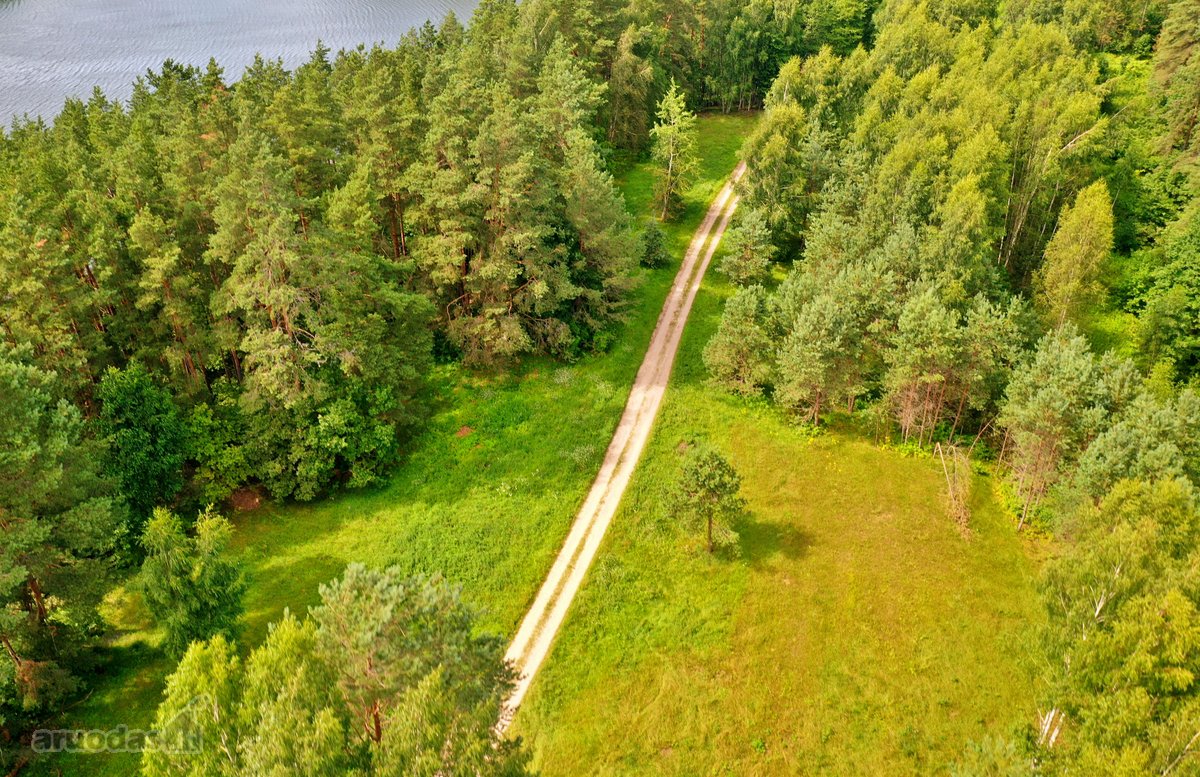 Sodybviete 1,60 ha su 200m smeletos ežero - nuotraukos Nr. 34