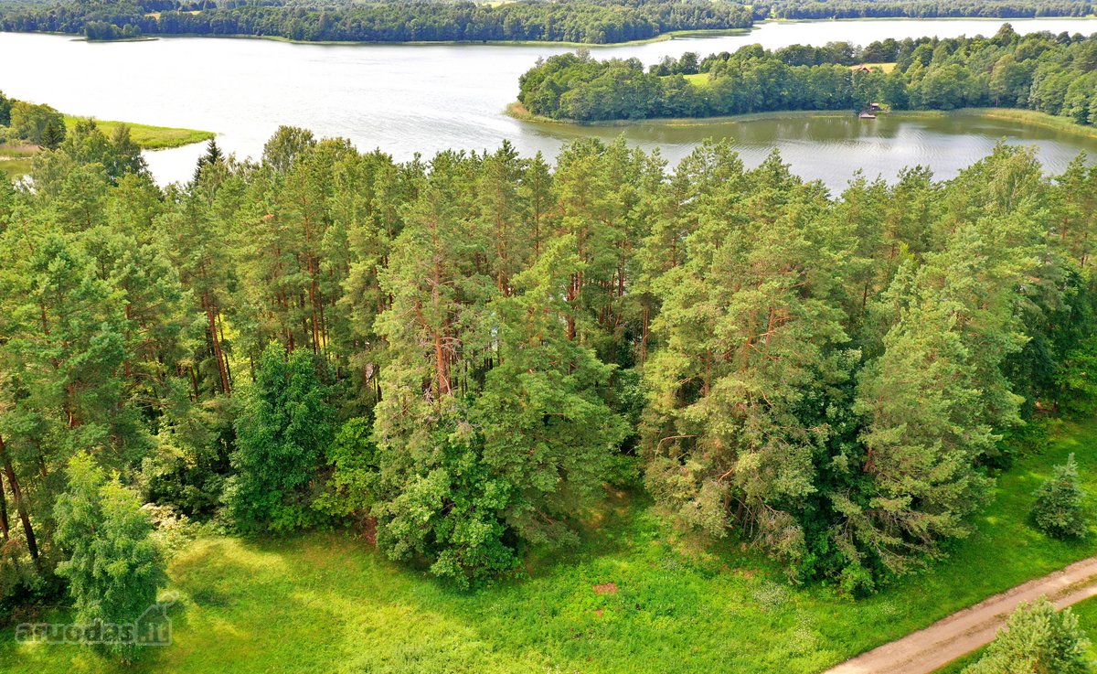 Sodybviete 1,60 ha su 200m smeletos ežero - nuotraukos Nr. 35