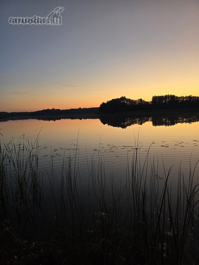 Sodybviete 1,60 ha su 200m smeletos ežero - nuotraukos Nr. 37