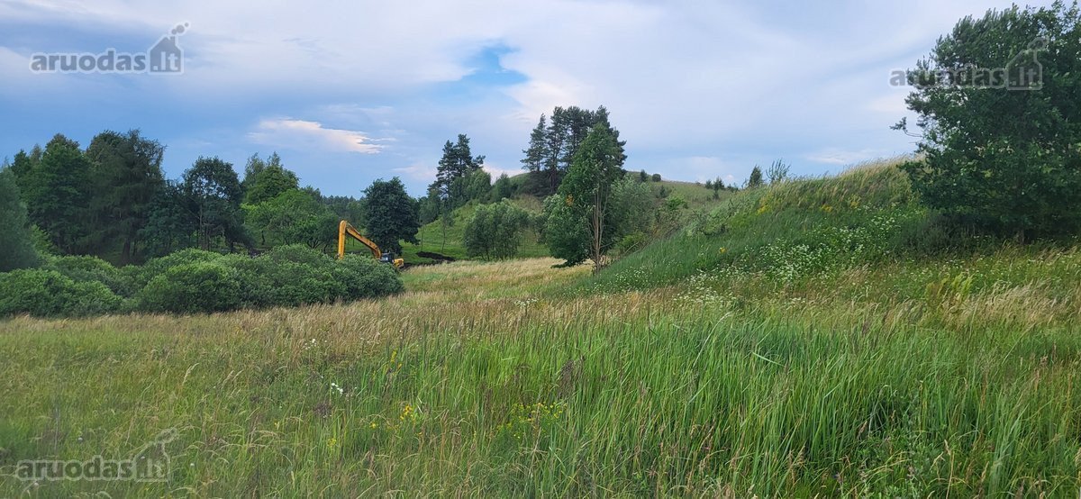 Skubiai. Pigiai. Sodyba su registruotais - nuotraukos Nr. 9