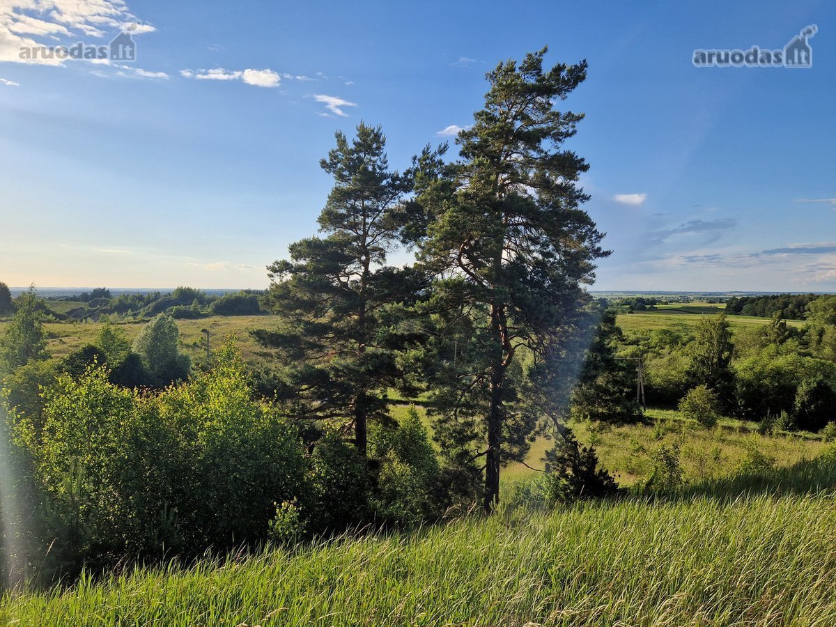 Skubiai. Pigiai. Sodyba su registruotais - nuotraukos Nr. 12