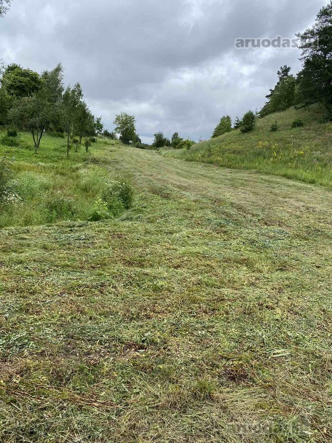 Skubiai. Pigiai. Sodyba su registruotais - nuotraukos Nr. 17