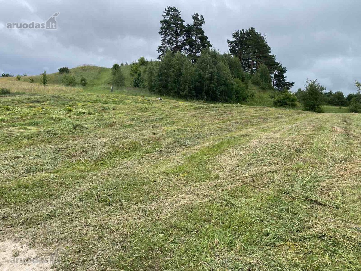 Skubiai. Pigiai. Sodyba su registruotais - nuotraukos Nr. 18