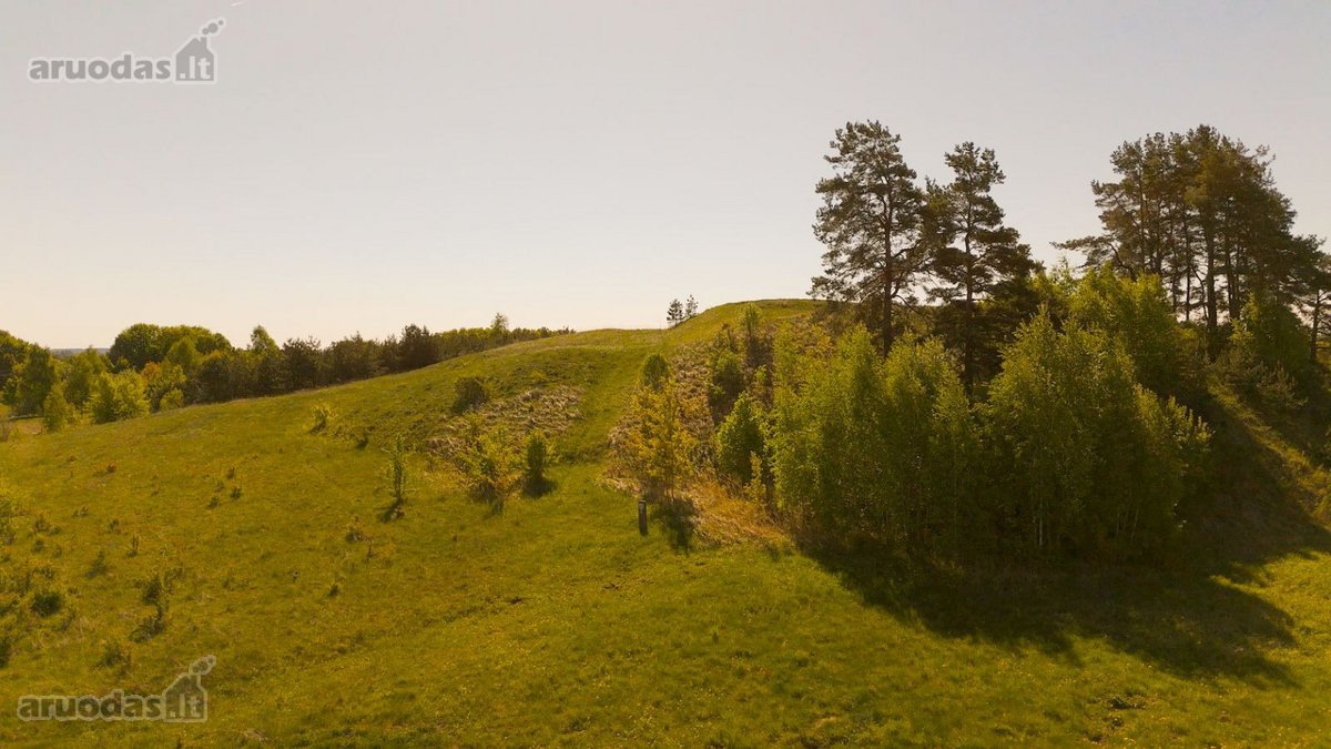 Skubiai. Pigiai. Sodyba su registruotais - nuotraukos Nr. 19