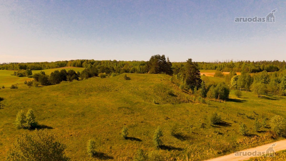 Skubiai. Pigiai. Sodyba su registruotais - nuotraukos Nr. 20