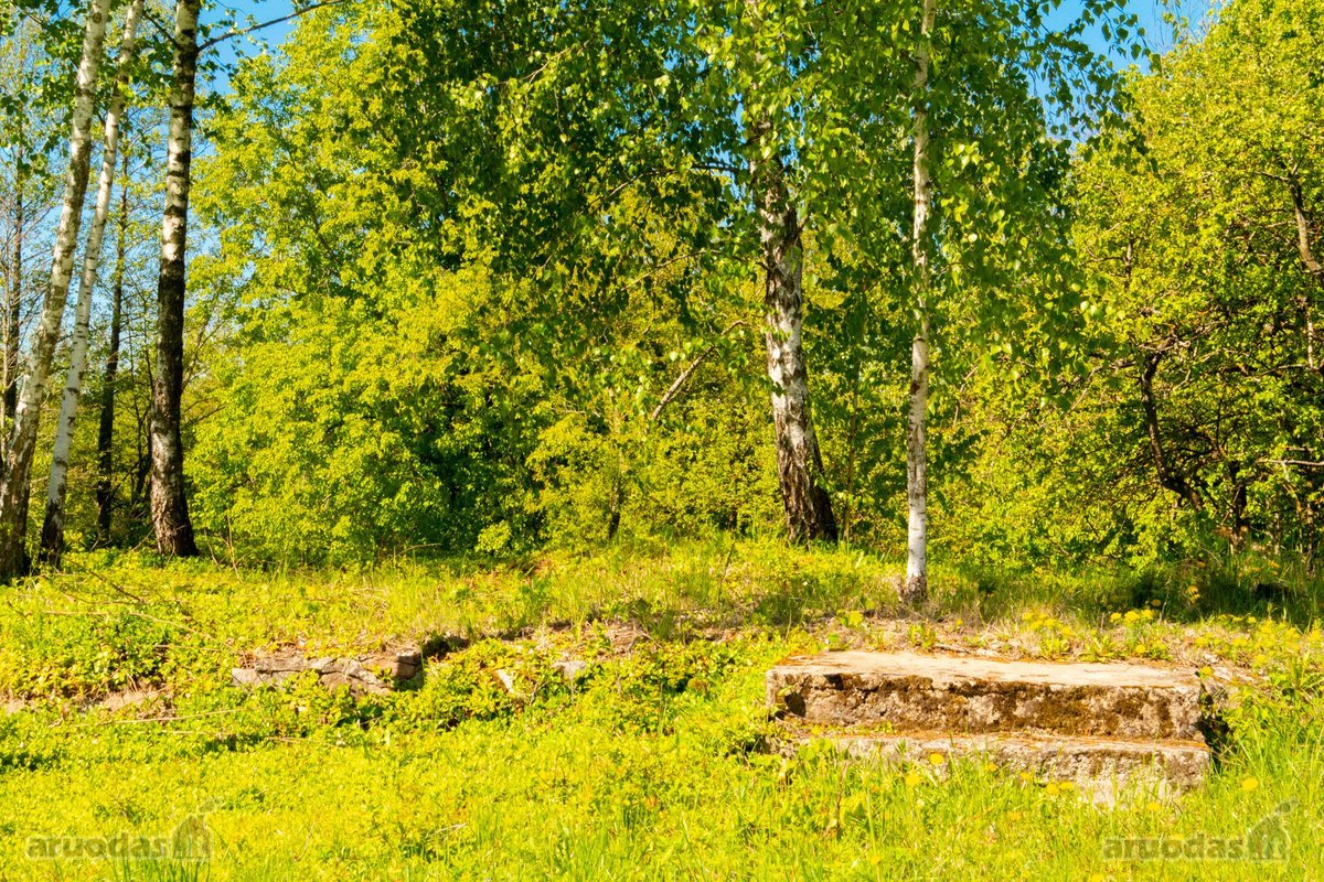 Skubiai. Pigiai. Sodyba su registruotais - nuotraukos Nr. 23
