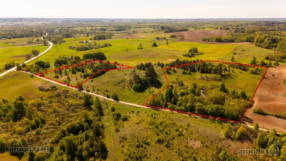 Skubiai. Pigiai. Sodyba su registruotais - nuotraukos Nr. 27