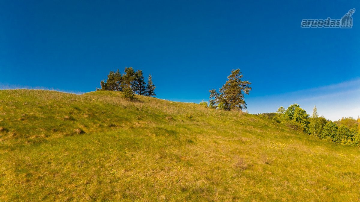 Skubiai. Pigiai. Sodyba su registruotais - nuotraukos Nr. 30