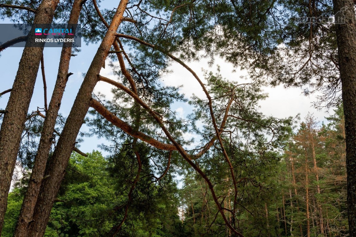 Naujos Statybos 4 Kambarių Namas Su 7,96 A - nuotraukos Nr. 35