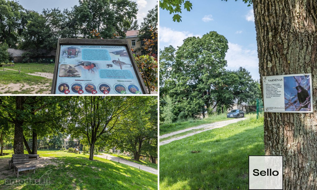  – Nt ekspertai be procentų - nuotraukos Nr. 31
