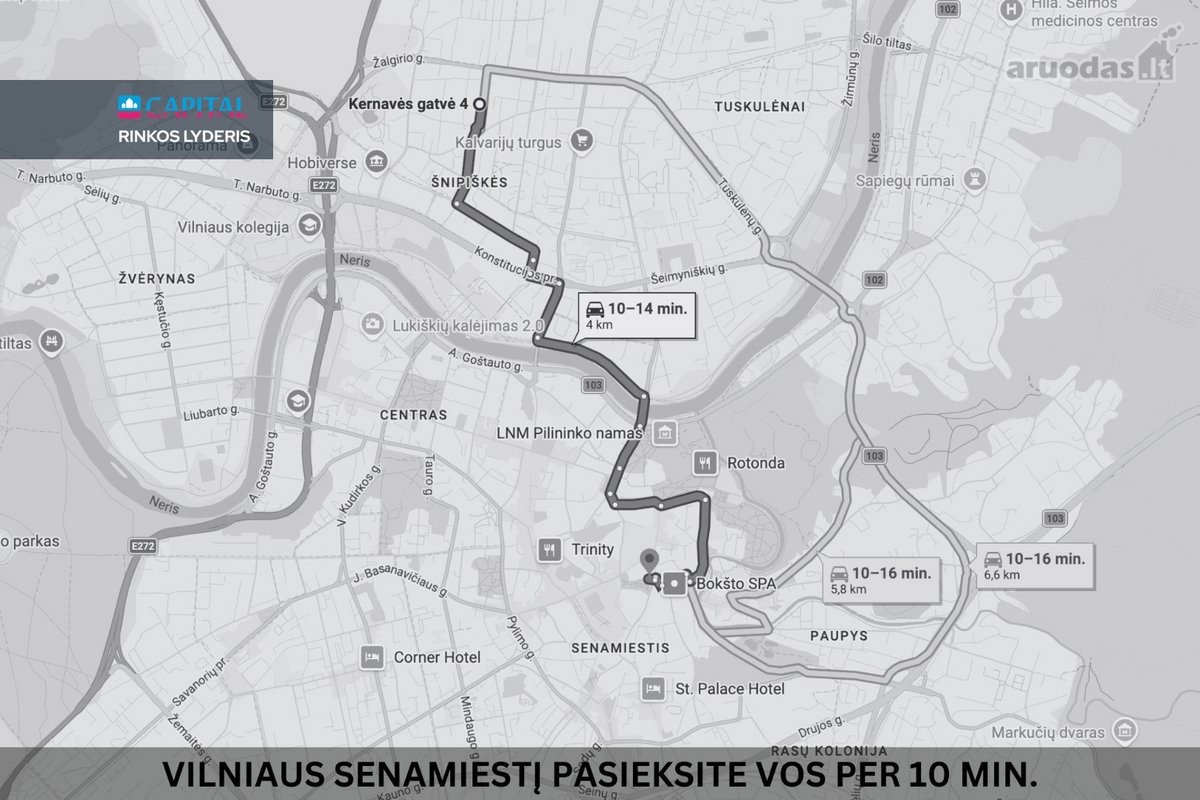Viename Sėkmingiausių Šnipiškių Projektų - nuotraukos Nr. 34