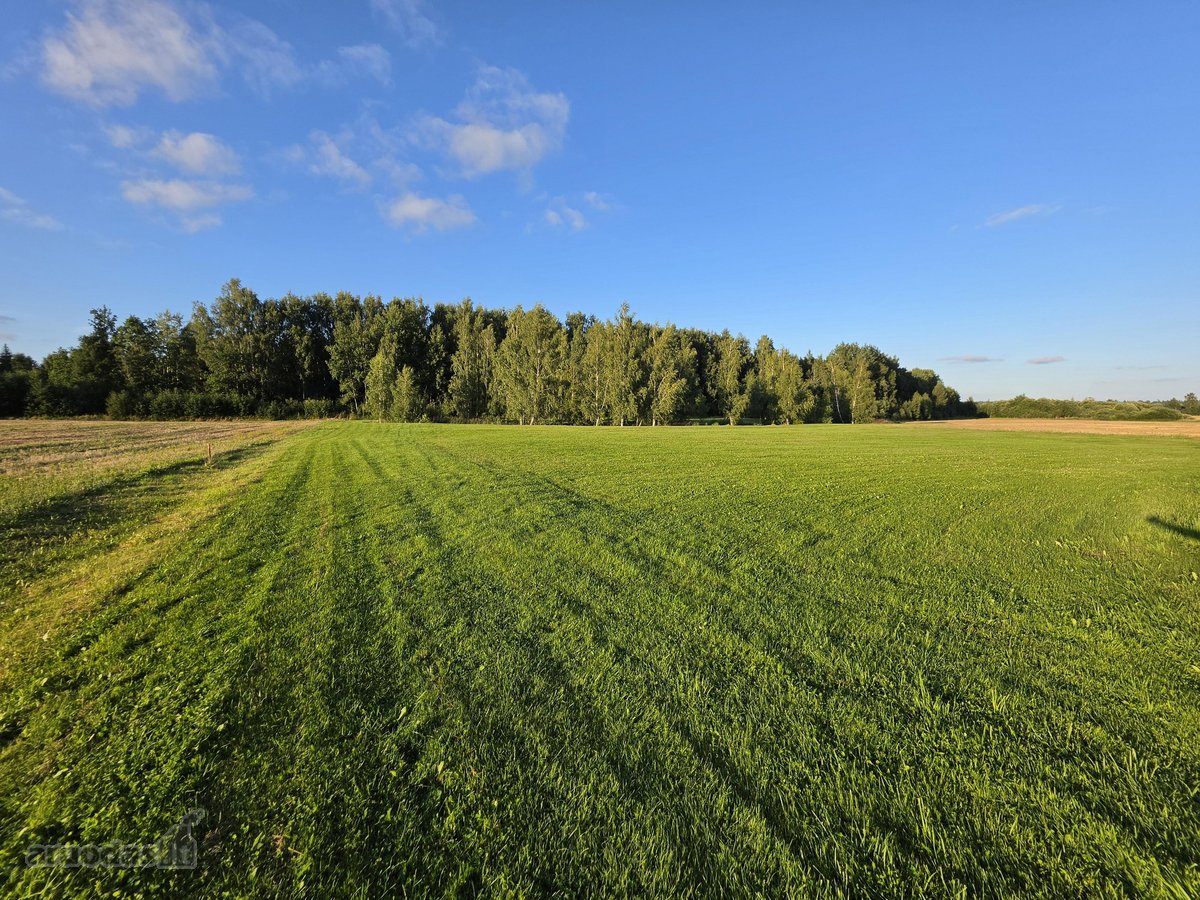 Nereali, net 200 arų namų valdos sodyba už 2k - nuotraukos Nr. 10