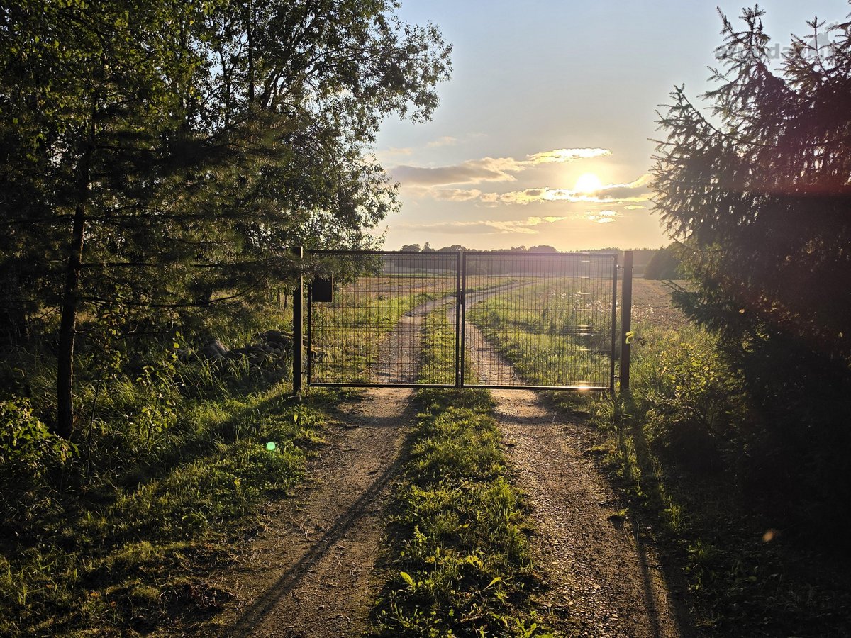 Nereali, net 200 arų namų valdos sodyba už 2k - nuotraukos Nr. 21