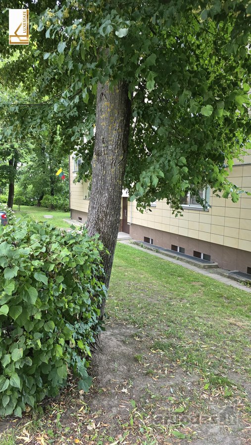 Parduodamos Kūrybinės Dirbtuvės Kaune, - nuotraukos Nr. 3