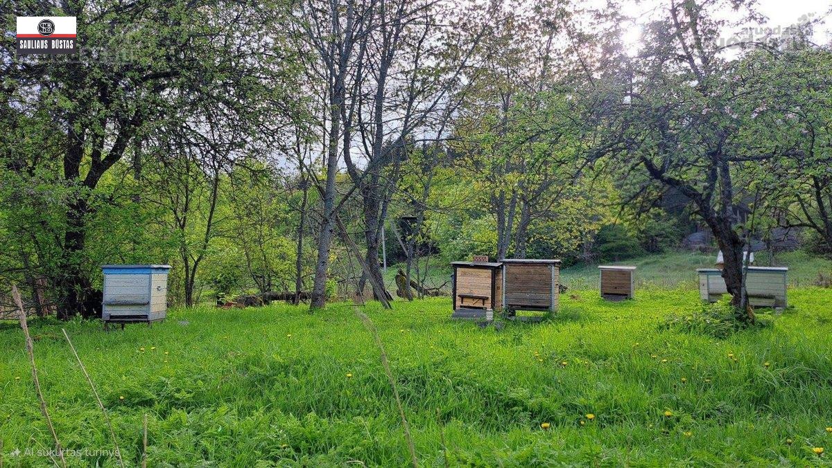 Parduodama išskirtinė teritorija su sodyba, - nuotraukos Nr. 32