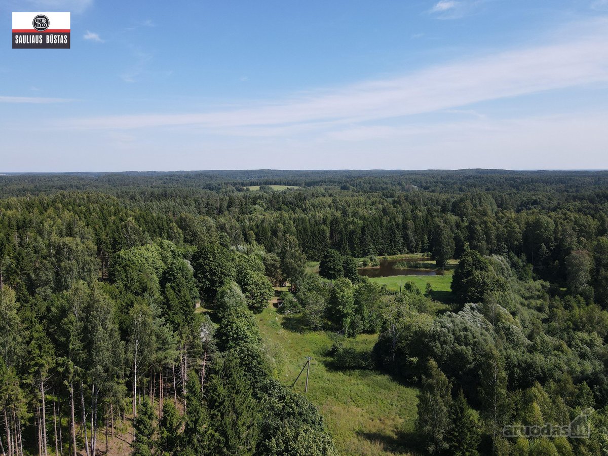 Parduodama išskirtinė teritorija su sodyba, - nuotraukos Nr. 45