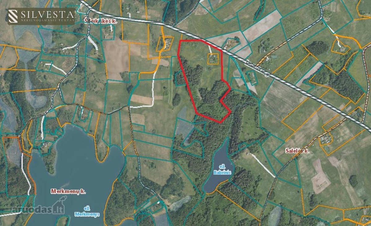 Parduodama 10,5 Ha Sodyba Su Mišku Ir Namų - nuotraukos Nr. 10