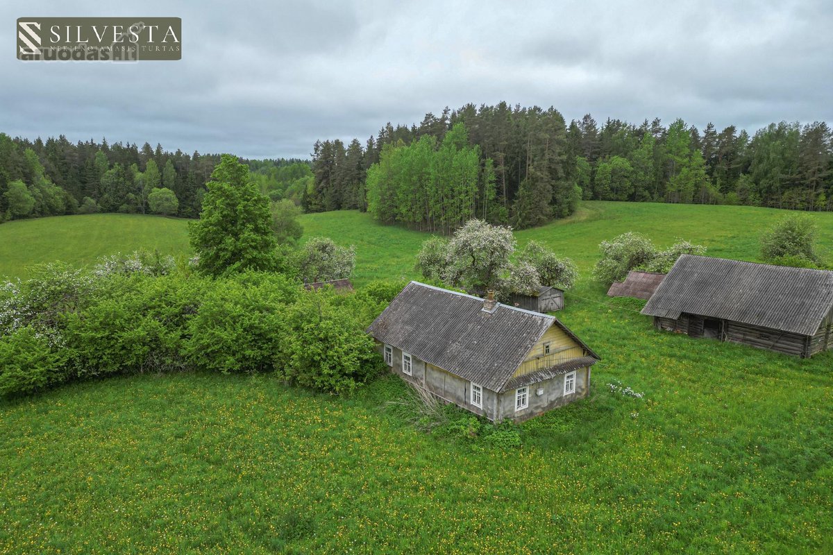 Parduodama 10,5 Ha Sodyba Su Mišku Ir Namų - nuotraukos Nr. 3