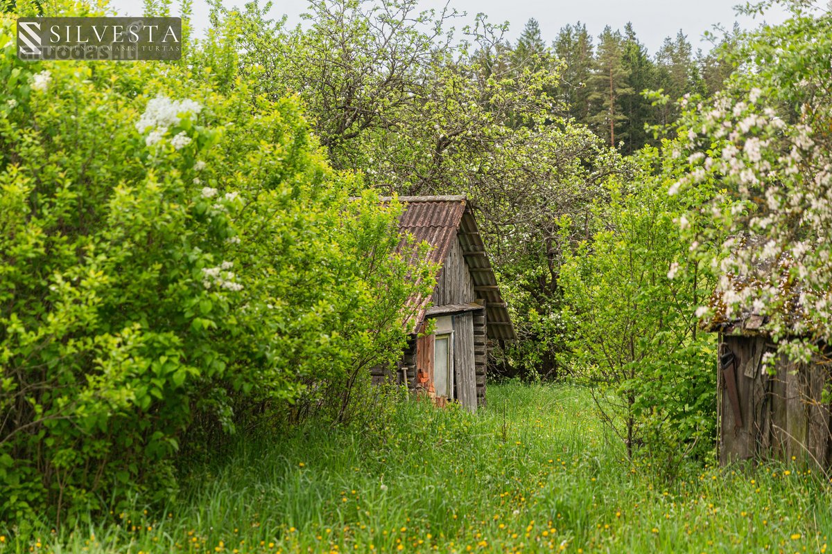 Parduodama 10,5 Ha Sodyba Su Mišku Ir Namų - nuotraukos Nr. 2