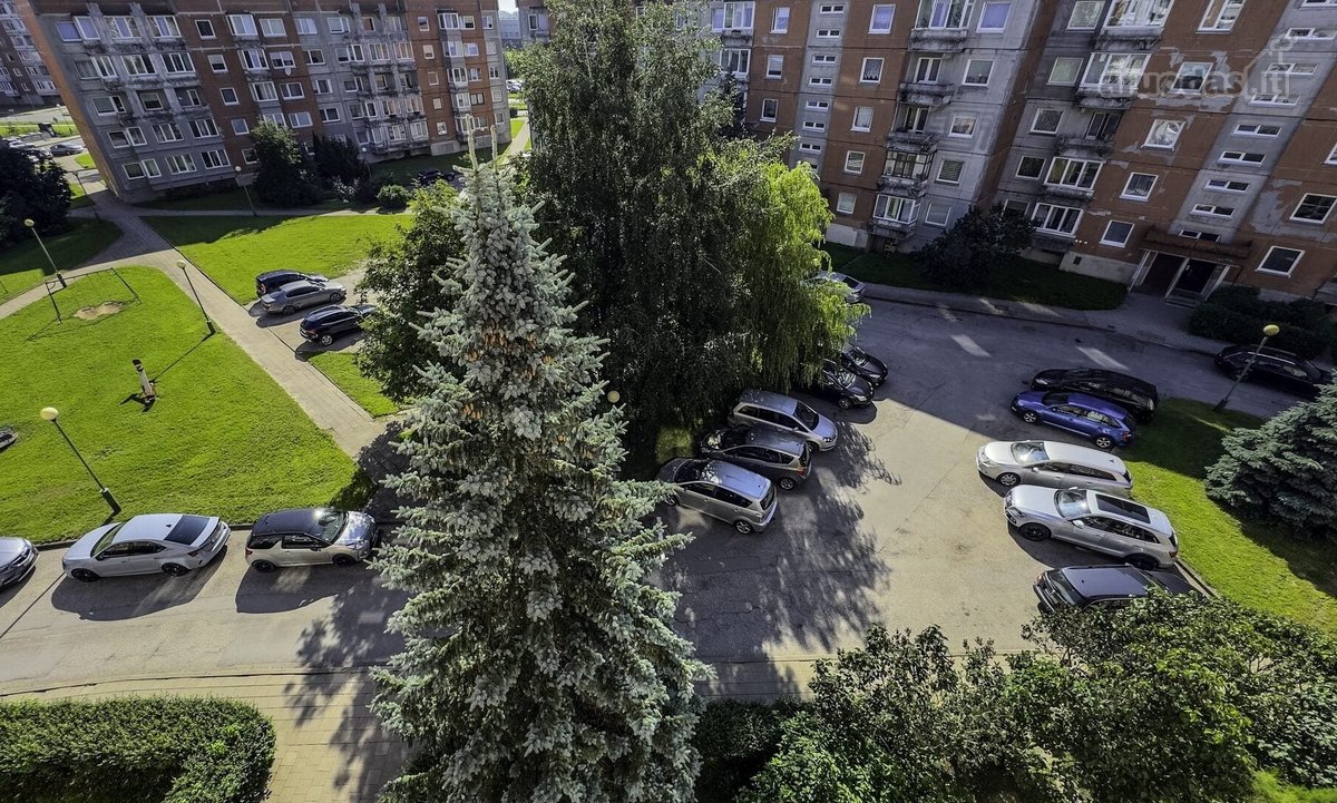 Erdvus 2 K. Butas Su Didžiuoju Holu Ir 2 - nuotraukos Nr. 2